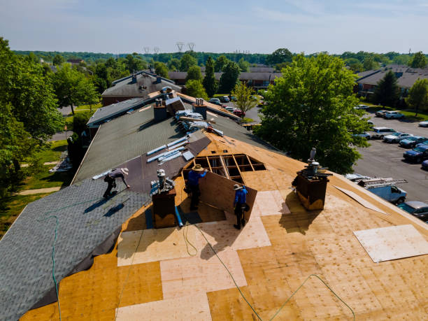 24/7 Emergency Roof Repair experts in Canyon Dam, CA